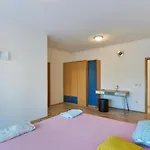 Apartamento Apartmant Franica With Heated Pool And Jacuzzi Privlaka (Zadar)
