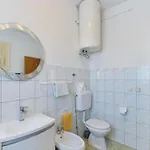 Apartmant Franica With Heated Pool And Jacuzzi Privlaka (Zadar)
