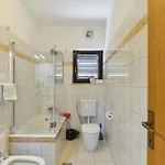 Apartmant Franica With Heated Pool And Jacuzzi Apartamento Privlaka (Zadar)
